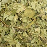 Feuilles de cassis, friandise naturelle pour lapins