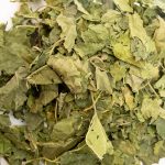 Feuilles de mûrier, friandise naturelle pour les lapins