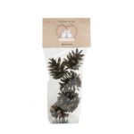 Pommes de pin, jouets pour lapins