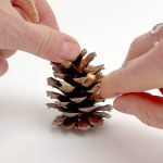 Pomme de pin, jouet pour lapins
