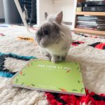 Mon lapin et moi, le carnet souvenir à remplir avec amour