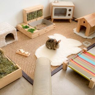 Espace idéal de vie pour les lapins