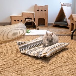 Roll N Flop rafraichissant, coussin d'été pour les lapins