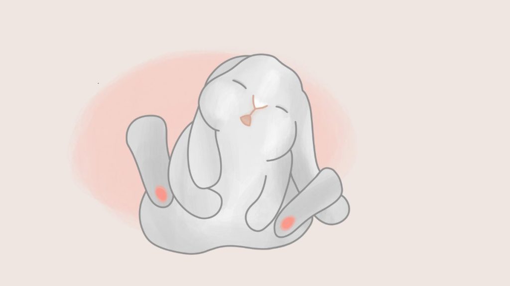 La pododermatite du lapin