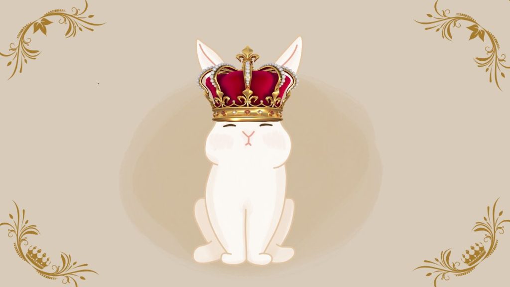 10 choses que tu sais si tu vis avec un lapin