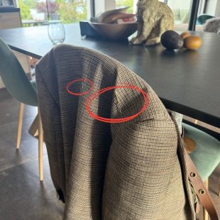 L'élégance en mode lapin