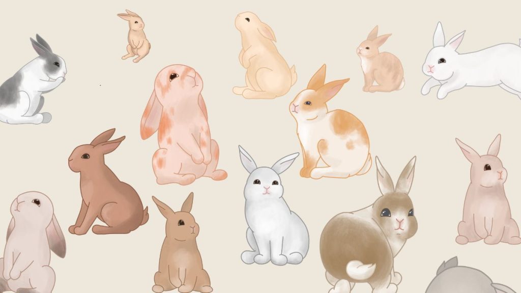 Lapins entassés dans un espace exigu, signes visibles de négligence et d'insalubrité