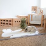 Le râtelier de la reine à déposer dans l'espace de vie de son lapin