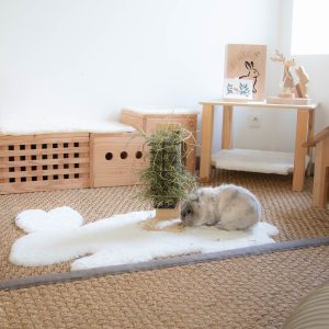 Le râtelier de la reine à déposer dans l'espace de vie de son lapin