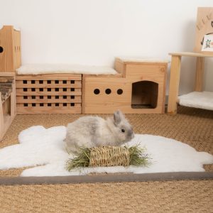 Rouleau de printemps, jouet en fibres végétales pour les lapins, 100% comestible