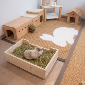 Parc à foin Pouloute en bois d'épicéa 3 plis pour les lapins nains ou géants