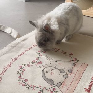 Cabas "La boutique des amoureux des lapins", 100% coton recyclé, made in France