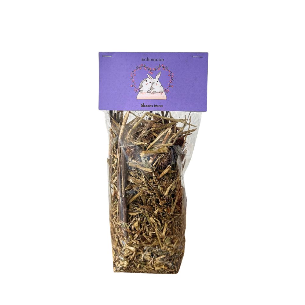 Echinacee Echinacée, friandise 100% naturelle pour lapins