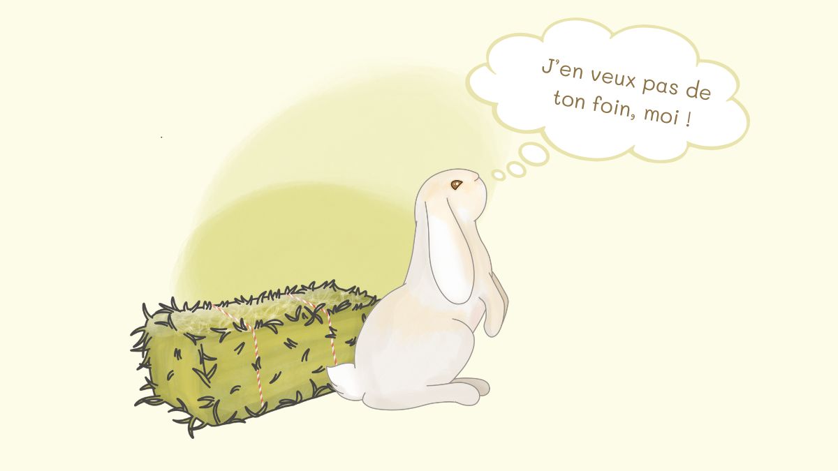 Mon lapin ne mange pas de foin. Nous avons la solution grâce à notre box foin découverte. Une sélection de 8 foins vendus dans la boutique Rabbits World