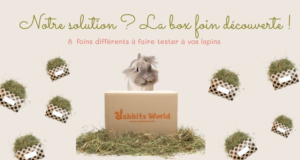 Mon lapin ne mange pas son foin, que faire ? Grâce à la box foin nous avons une solution à vous proposer.