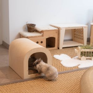 La roulotte design, abri taille XL pour lapins géants et couples en bois d'épicéa 3 plis