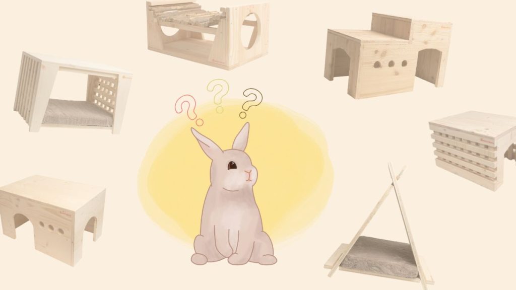 Top 10 des abris les plus cool pour mon lapin