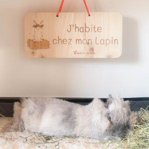 Pancarte en bois à suspendre, j'habite chez mon ou mes lapins