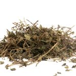 Menthe déshydratée, friandise naturelle pour lapins