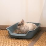Bac à litière pour lapins de grande taille avec ouverture
