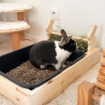 Foin bio vallée des Vosges pour lapin