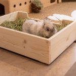 Foin bio vallée des Vosges pour lapin