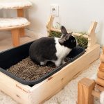 Râtelier-litière pour lapins idéale pour un bon apprentissage de la propreté