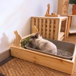 Râtelier-litière pour lapins idéale pour un bon apprentissage de la propreté