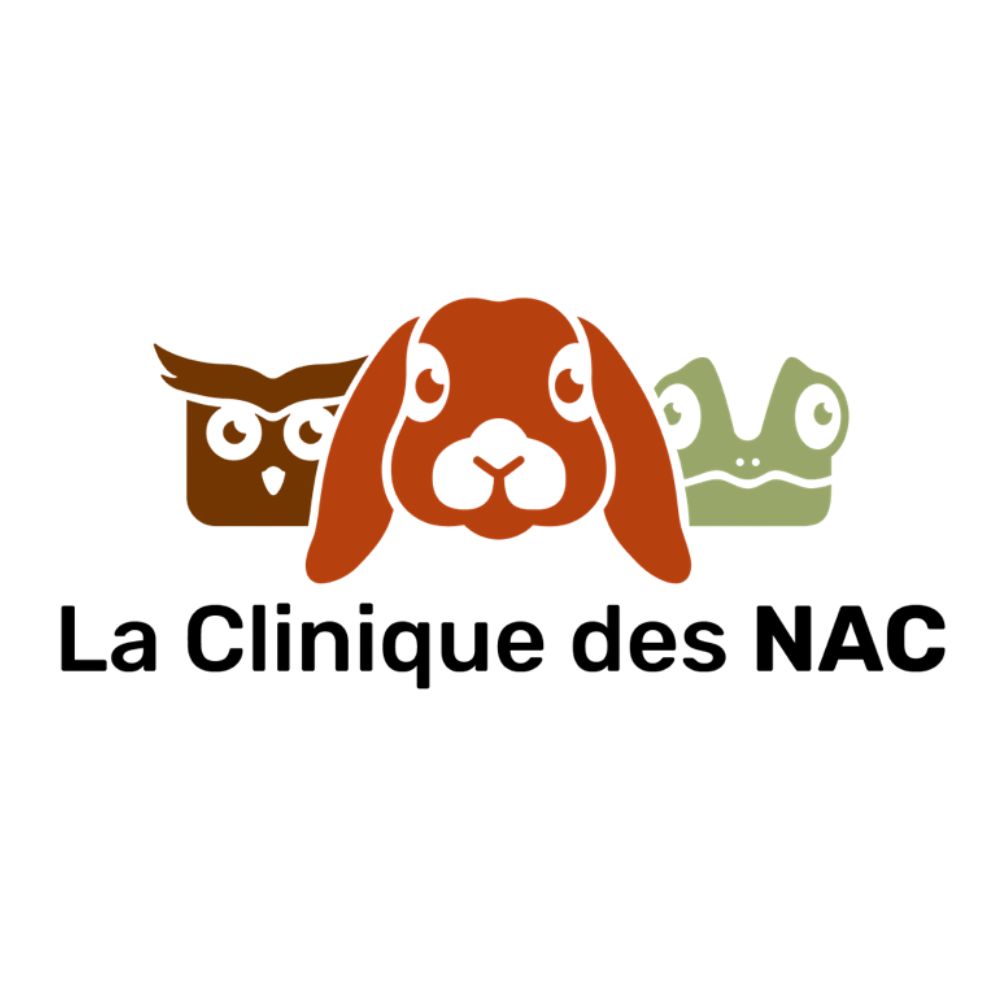Clinique vétérinaire réservée aux NAC à Toulouse